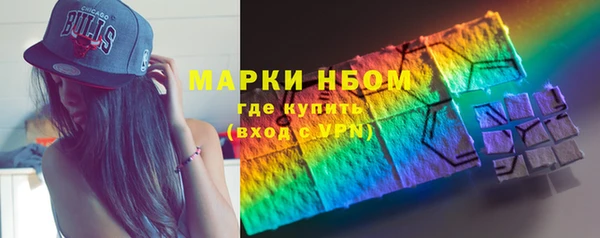 хмурый Арсеньев