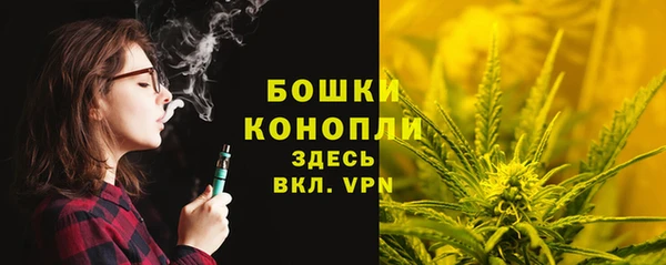 хмурый Арсеньев