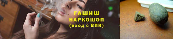 хмурый Арсеньев