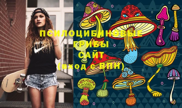 хмурый Арсеньев